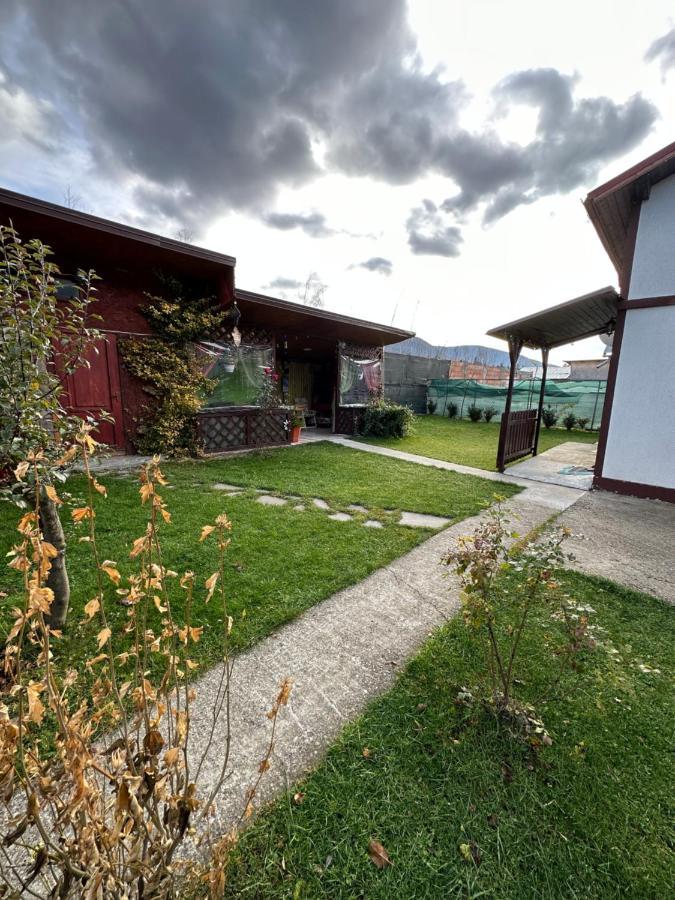 Casa Rares Buşteni Eksteriør bilde